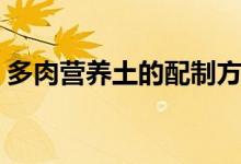 多肉营养土的配制方法（营养土的配制方法）
