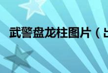 武警盘龙柱图片（出差武警帅哥盘龙巨柱）