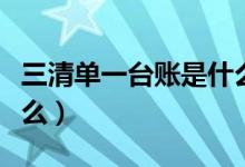 三清单一台账是什么意思（三清单一台账是什么）