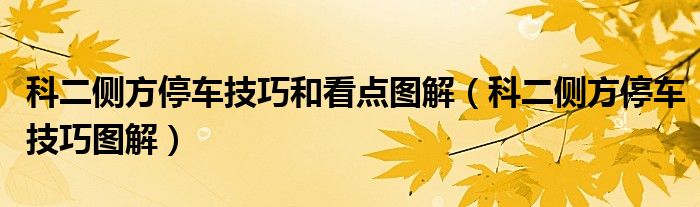 科二侧方停车技巧和看点图解（科二侧方停车技巧图解）