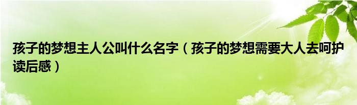 孩子的梦想主人公叫什么名字（孩子的梦想需要大人去呵护读后感）