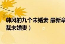 韩风的九个未婚妻 最新章节 无弹窗 笔趣阁（我的绝美女总裁未婚妻）