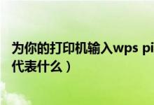 为你的打印机输入wps pin什么意思（wps是什么意思 wps代表什么）