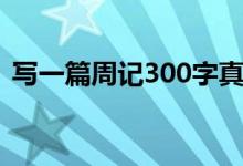 写一篇周记300字真实（写一篇周记300字）