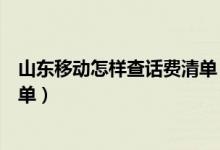 山东移动怎样查话费清单（山东移动网上营业厅查询话费详单）
