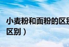 小麦粉和面粉的区别是什么（小麦粉和面粉的区别）