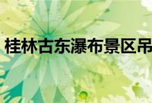 桂林古东瀑布景区吊桥(桂林古东瀑布景区)