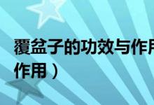 覆盆子的功效与作用和图片（覆盆子的功效与作用）