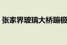 张家界玻璃大桥蹦极价格（张家界玻璃大桥）