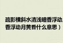 疏影横斜水清浅暗香浮动月黄昏的诗意（疏影横斜水清浅暗香浮动月黄昏什么意思）