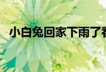 小白兔回家下雨了看图写话（小白兔回家）
