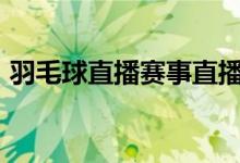 羽毛球直播赛事直播平台（羽毛球直播360）
