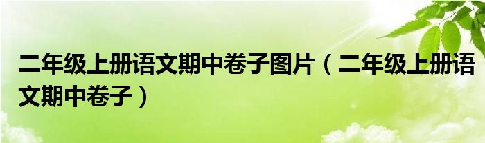 二年级上册语文期中卷子图片（二年级上册语文期中卷子）