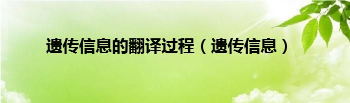 遗传信息的翻译过程（遗传信息）