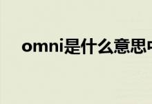 omni是什么意思中文（omit什么意思）