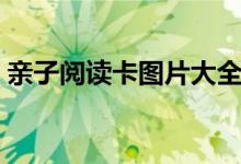 亲子阅读卡图片大全内容（亲子阅读卡图片）
