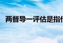 两督导一评估是指什么（两项督导是什么）