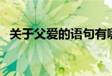 关于父爱的语句有哪些（关于父爱的语句）