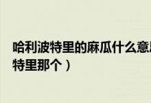 哈利波特里的麻瓜什么意思（罗恩为什么要吸毒就是哈利波特里那个）