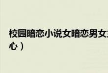校园暗恋小说女暗恋男女主低调内敛（暗恋小说女暗恋男虐心）