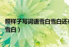照样子写词语雪白雪白还有哪些类似的（照样子写词语 雪白雪白）