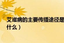 艾滋病的主要传播途径是什么?（艾滋病的主要传播途径是什么）