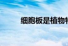 细胞板是植物特有的吗（细胞板）