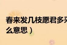 春来发几枝愿君多采撷是什么意思（采撷是什么意思）