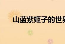 山蓝紫姬子的世界（山蓝紫姬子微盘）
