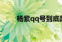 杨紫qq号到底是多少（杨紫qq号）