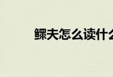 鳏夫怎么读什么意思（鳏怎么读）