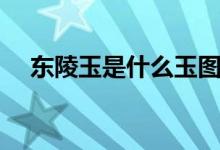 东陵玉是什么玉图片（东陵玉是什么玉）