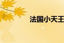 法国小天王(丹麦小天王)