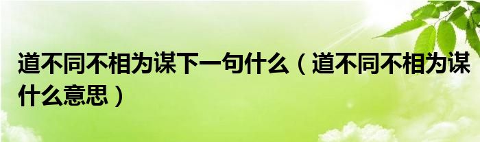 道不同不相为谋下一句什么（道不同不相为谋什么意思）