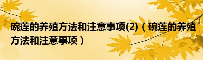 碗莲的养殖方法和注意事项(2)（碗莲的养殖方法和注意事项）