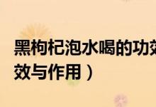 黑枸杞泡水喝的功效与作用（野生黑枸杞的功效与作用）