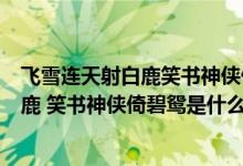 飞雪连天射白鹿笑书神侠倚碧鸳是什么意思（飞雪连天射白鹿 笑书神侠倚碧鸳是什么意思 出自那里）
