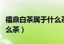 福鼎白茶属于什么茶绿茶吗（福鼎白茶属于什么茶）