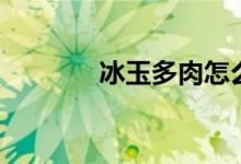 冰玉多肉怎么养（冰玉多肉）