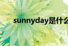 sunnyday是什么牌子（sunnydays）