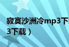 寂寞沙洲冷mp3下载周传雄（寂寞沙洲冷mp3下载）