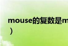 mouse的复数是mouses吗（mouse的复数）