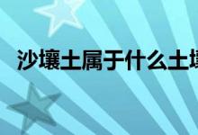 沙壤土属于什么土壤类型（什么是沙壤土）