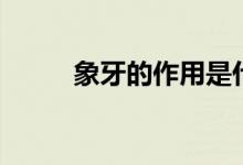 象牙的作用是什么（象牙的作用）