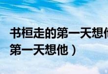 书桓走的第一天想他是什么电视剧（书桓走的第一天想他）