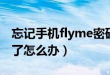 忘记手机flyme密码怎么办（flyme密码忘记了怎么办）