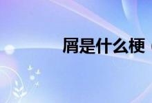 屑是什么梗（是屑是什么梗）