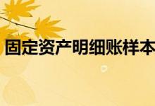 固定资产明细账样本（固定资产明细账模板）