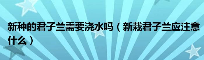 新种的君子兰需要浇水吗（新栽君子兰应注意什么）