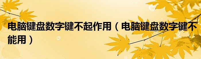 电脑键盘数字键不起作用（电脑键盘数字键不能用）